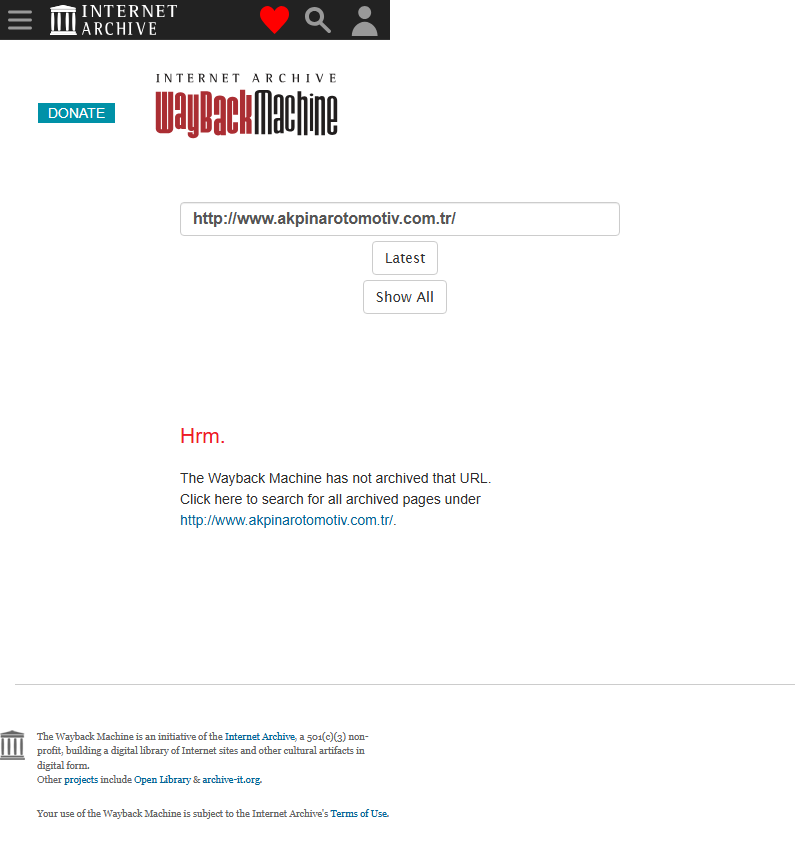 Local Business — old website mobile view